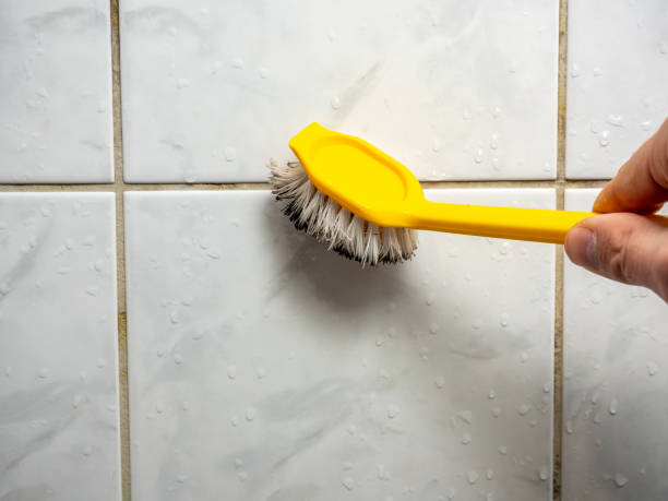 Best Water Damage Restoration  in Stonewood, WV