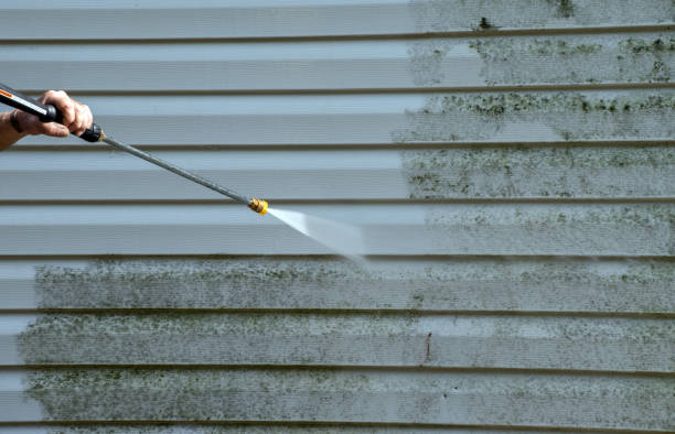 Best Certified Mold Removal  in Stonewood, WV