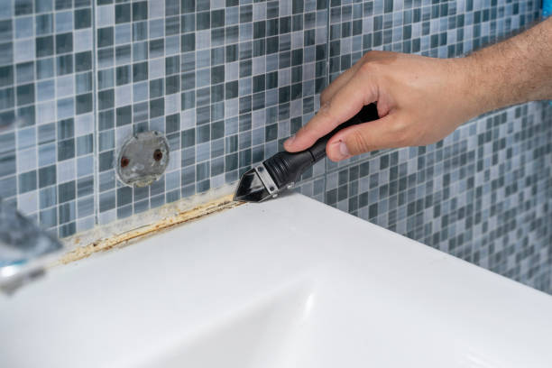 Mold Removal Process in Stonewood, WV
