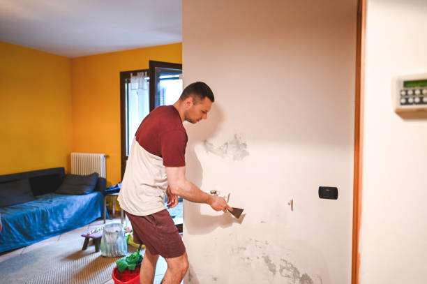 Best Affordable Mold Removal  in Stonewood, WV